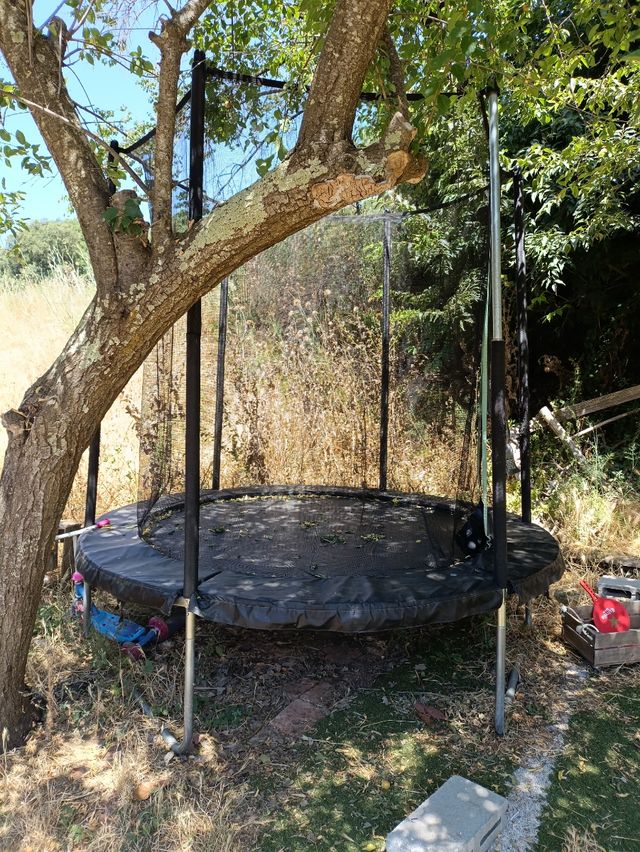 Cama elástica infantil