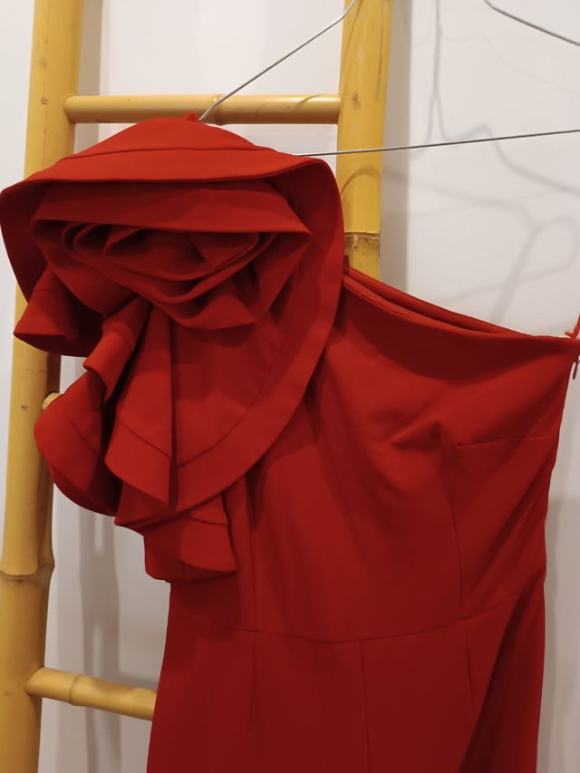 Mono rojo Lebasi - Fiesta