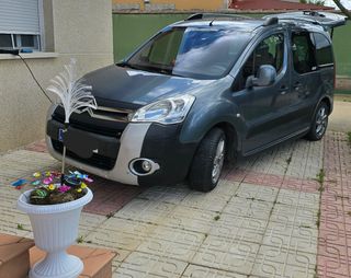 Citroen Berlingo 2009