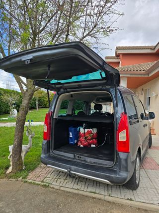 Citroen Berlingo 2009