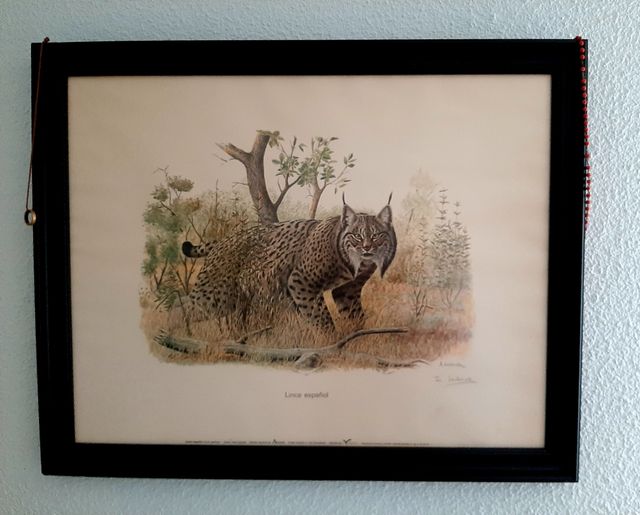 3 Láminas Josechu Lalanda