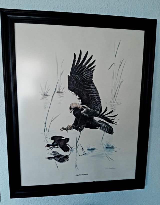 3 Láminas Josechu Lalanda