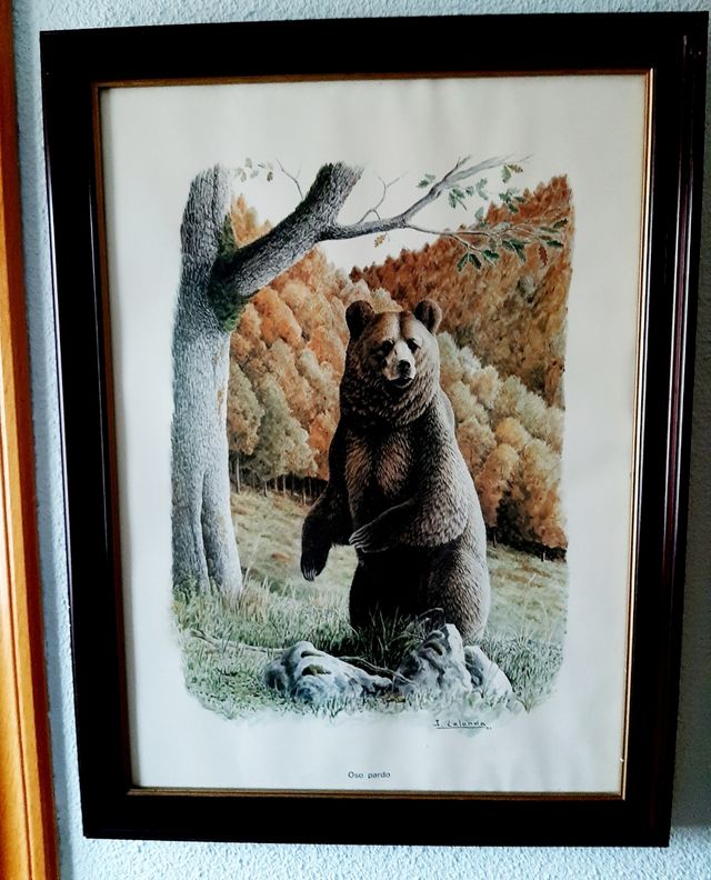 3 Láminas Josechu Lalanda