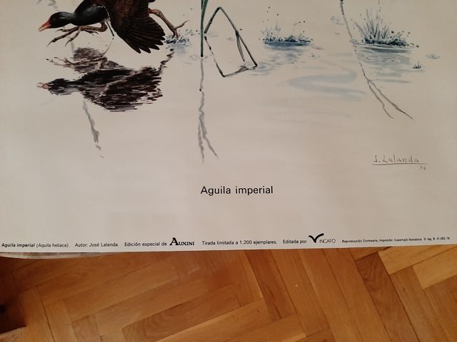 3 Láminas Josechu Lalanda