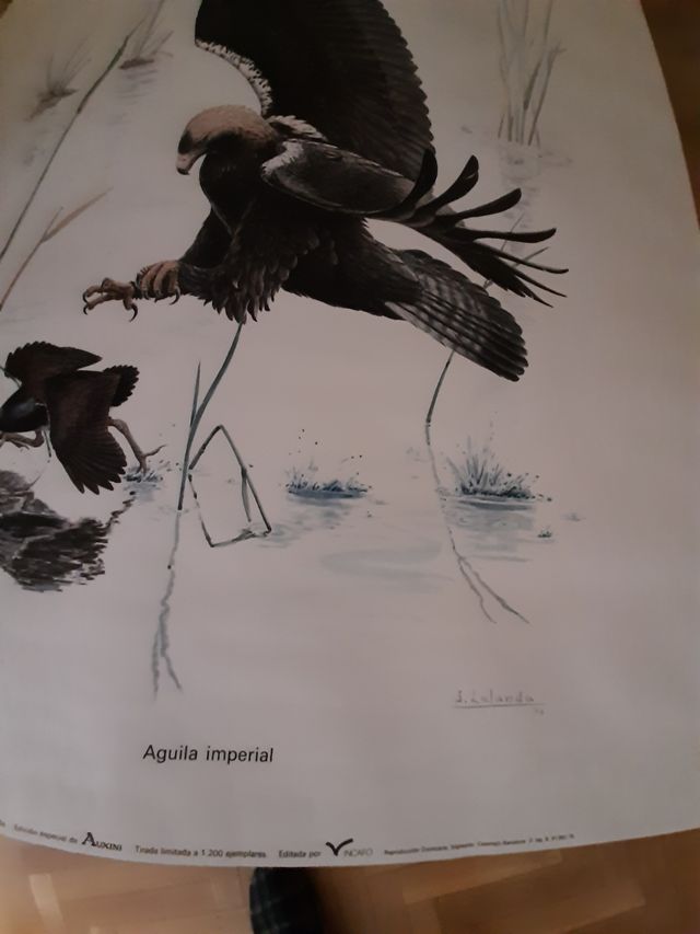 3 Láminas Josechu Lalanda