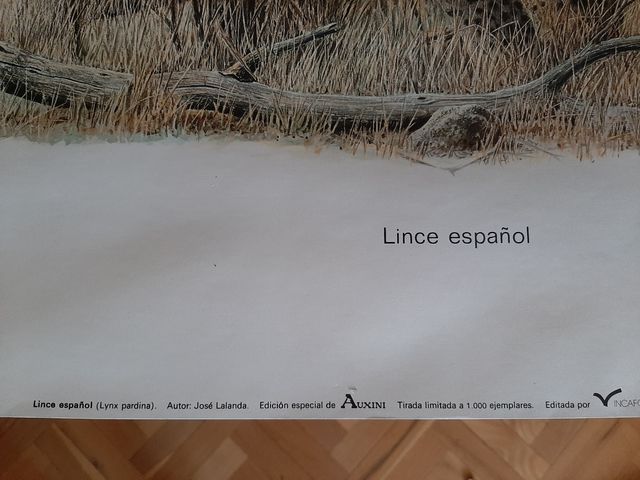 3 Láminas Josechu Lalanda