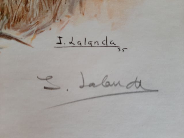 3 Láminas Josechu Lalanda