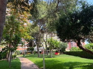 Alquiler apartamento por dia con vistas al mar