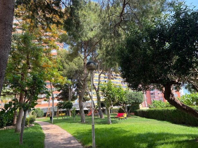 Alquiler apartamento por dia con vistas al mar