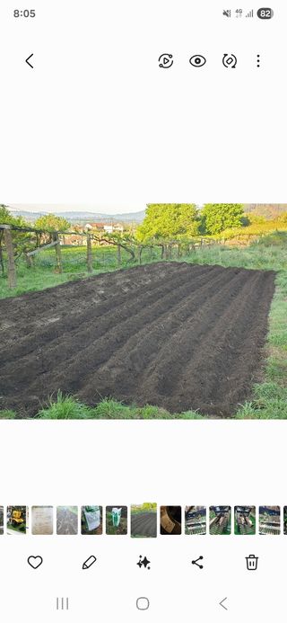 Finca rústica para plantar legumbres etc. huerto