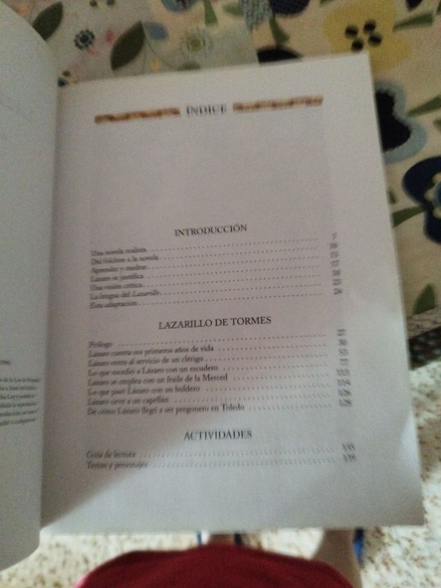 El Lazarillo De Tormes N/c (clasicos Adaptados)...