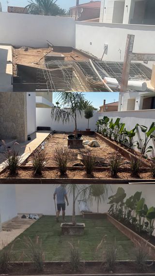 Poda árboles palmeras,diseño de jardines exclusivo