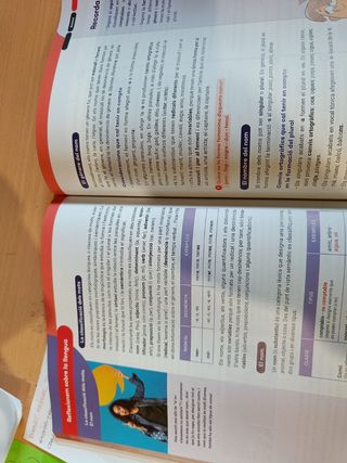 SEQÜÈNCIES de Llengua catalana i literatura 1 ESO