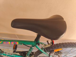 Bicicleta montaña Dama Y20