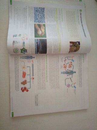Biología y Geología. 4 Secundaria. Revuela
