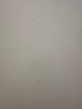 Mesa Ikea blanca - Auxiliar con ruedas