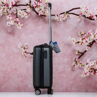 2 Maletas cabina negra - 8kg