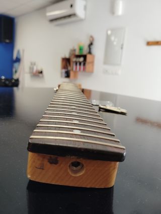 Mástil guitarra Elvis by Marina Stratocaster