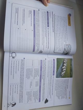 CULTURA I VALORS ETICS SERIE PARTICIPA 2 ESO