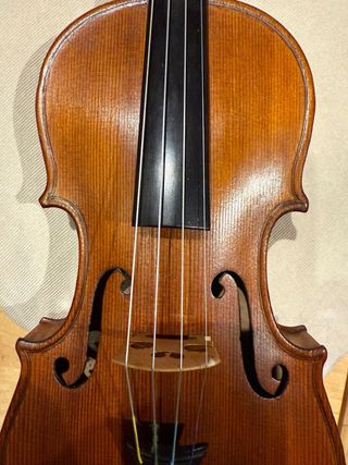Violín 4/4 antiguo (finales 1800) perfecto estado.