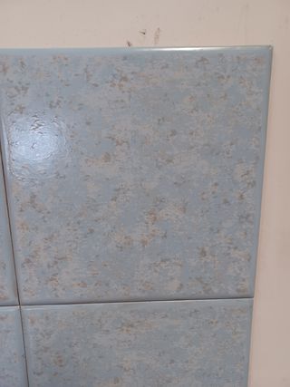 Azulejos 20x20cm - Baño - Azul