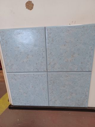 Azulejos 20x20cm - Baño - Azul