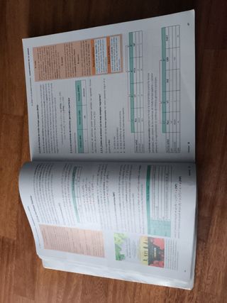 Lengua castellana y Literatura 1BA 2019