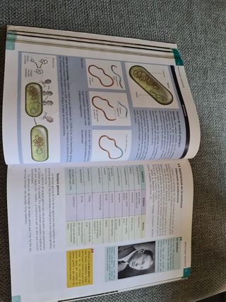 Ciències per al món contemporani Batxillerat (2...