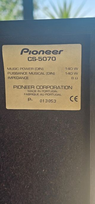 Altavoces Pioneer negros