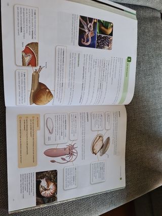 Biologia I Geologia, 1 Eso