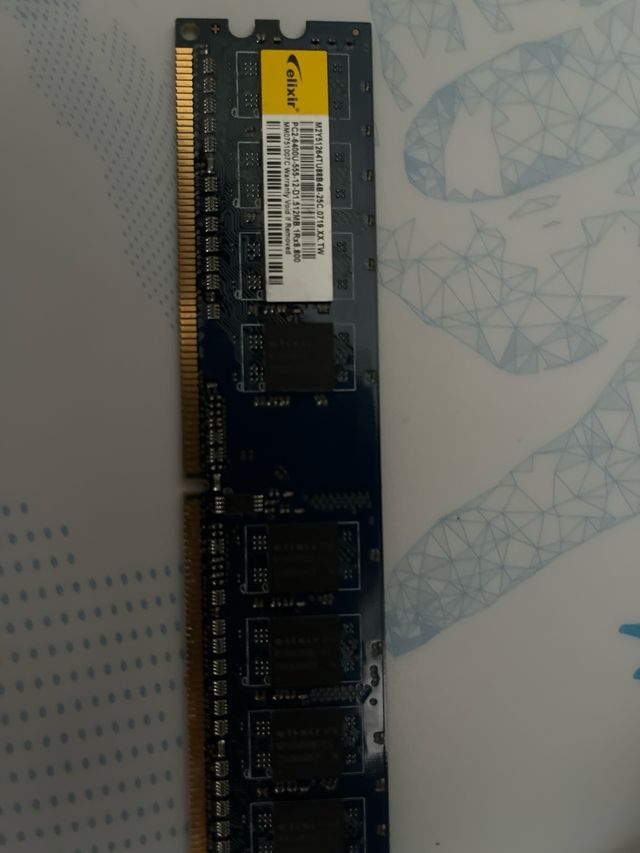 RAMs Elkin, Team, Kingston