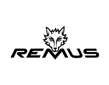 Remus BMW S 1000 RR Tubo Escape