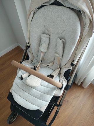 Inglesina Electa: carrito bebé edición especial