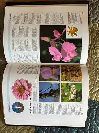 Grande Enciclopédia das Ciências