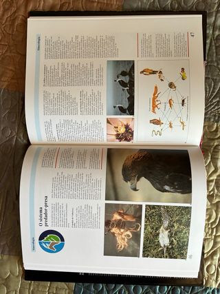 Grande Enciclopédia das Ciências