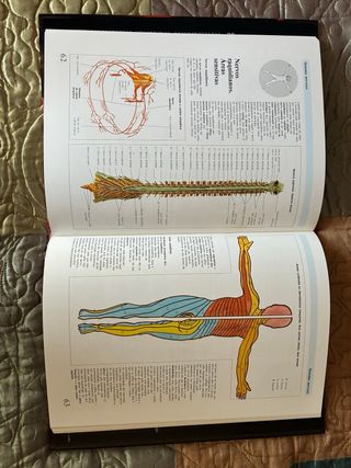 Grande Enciclopédia das Ciências