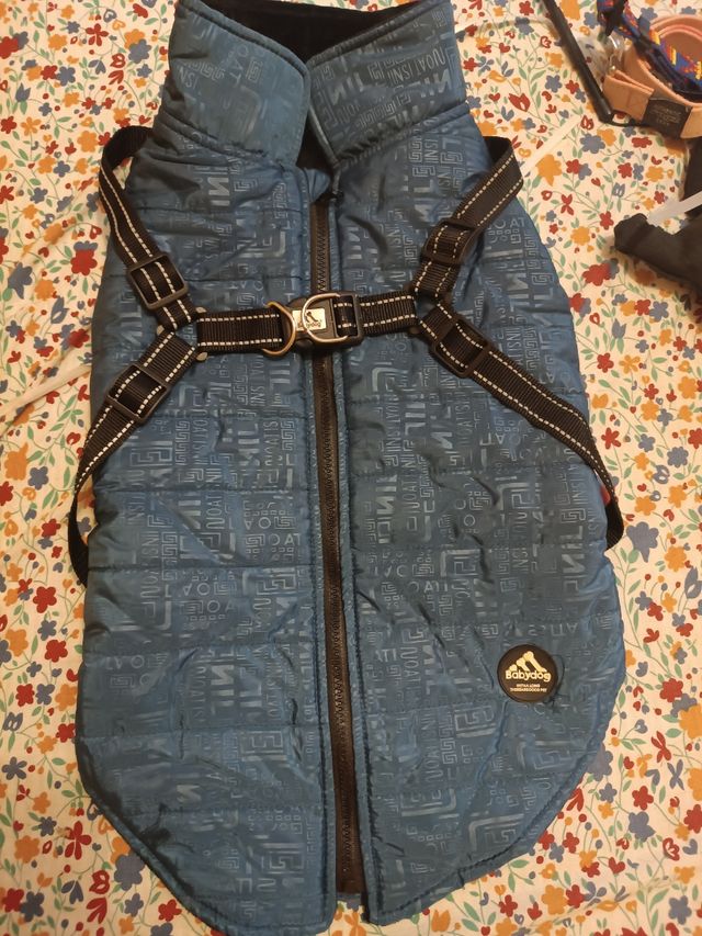 Abrigo Babydog Perro Azul acolchado