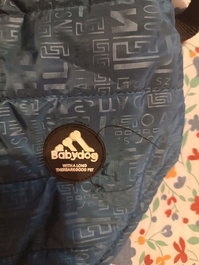 Abrigo Babydog Perro Azul acolchado