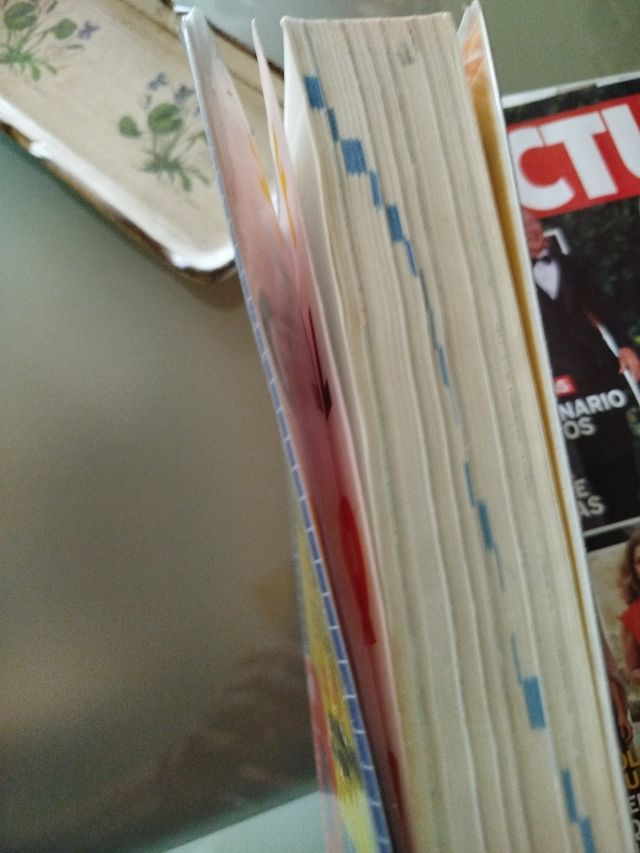 Diccionario didáctico básico. Primaria. (Spanis...