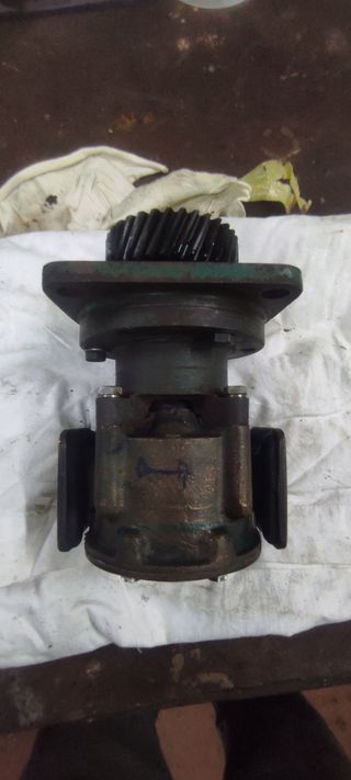 Bomba agua salada Jabsco bronce