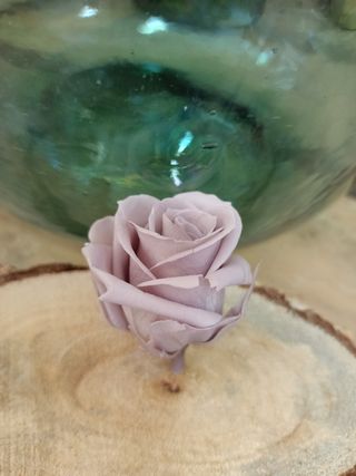 Rosa Preservada