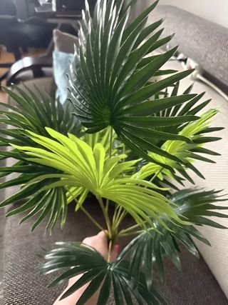 2 Pz Pianta Artificiale Finta Palma Banano 60 Cm