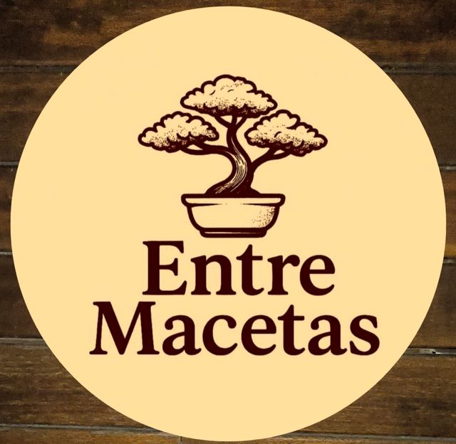 Tortugas de madera - Decoración pared.