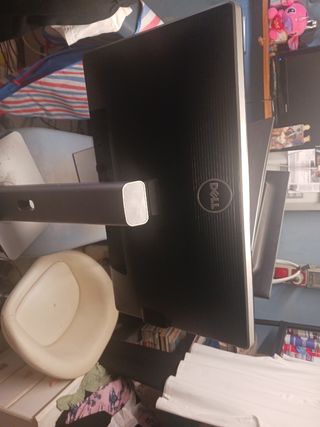 Monitor Dell