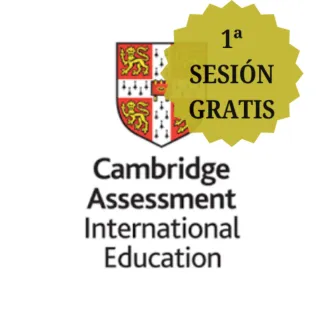 Clases intensivas - NATIVO Profesor Inglés