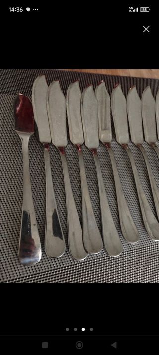 11 Coltelli per pesce in metallo