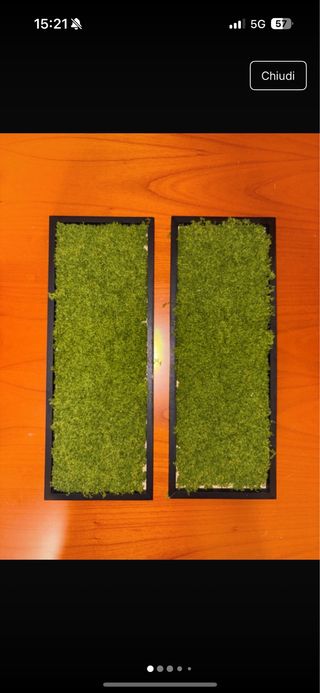 Quadri muschio - Giardino verticale