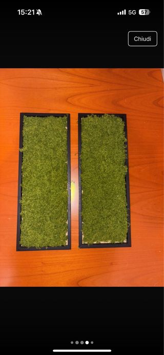 Quadri muschio - Giardino verticale