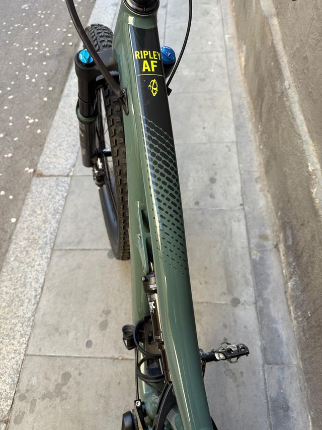 Ibis Ripley AF - talla MD