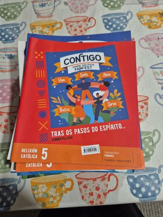 Libros de texto de 5 de Primaria. 